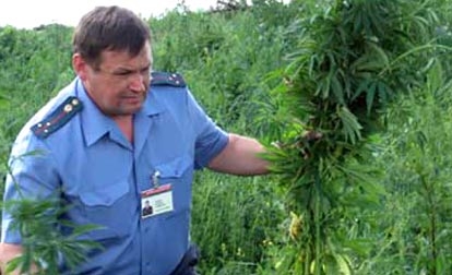 Наркоконтроль в Архангельской области